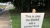 Add a rock to Jake the Snake. Rock snakes take over in Rhode Island