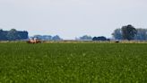 Agricultores argentinos aceleran ventas soja con alza de precios y clima seco
