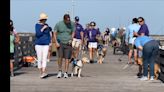 “Dog days of summer” are reality at Venice Beach