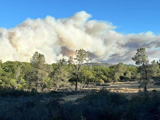 Park Fire explodes in Northern California. Wildfire 45,000 acres amid evacuations near Chico