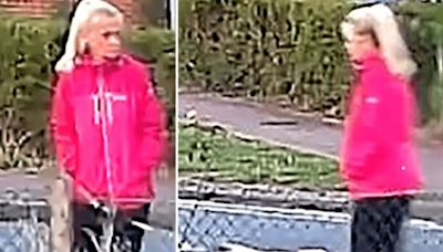 CCTV shows moments before dog walker left for dead with attacker on the loose
