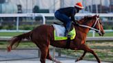 Mage jockey, trainer, owners: Everything you need to know about Kentucky Derby 2023 horse