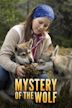 Mystery of the Wolf