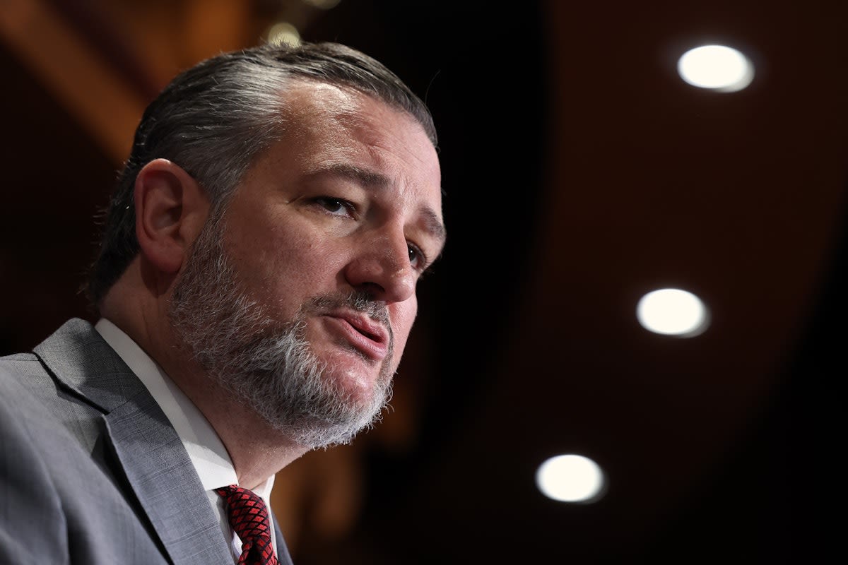 Ted Cruz Gets Brutally Roasted After Posting About Texas Storm