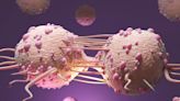 Revolutionary Compound Forces Breast Cancer Cells To Self-Destruct