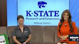 Kids will greatly benefit from a couple of challenge days from the Kansas State Wildcat Extension District