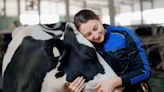 Cattle used for cuddling therapy may prefer women over men