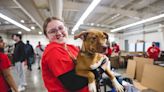 Brandywine Valley SPCA's Mega Adoption Event to be held Dec. 9 and 10. Here's what to know