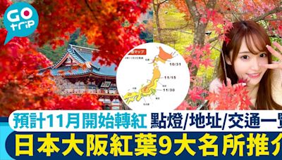 大阪紅葉懶人包+9大人氣賞楓景點/預測情報/時間表