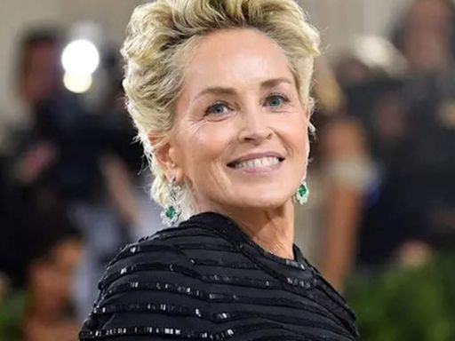 Sharon Stone to play villain in Bob Odenkirk's 'Nobody 2'. Release date, director, storyline - The Economic Times