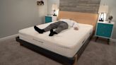 Avocado Eco Organic Mattress Review 2024: Affordable, Organic Comfort