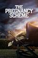 The Pregnancy Scheme