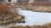 Many Iowa rivers are brimming with nitrate