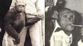 The human and chimpanzee hybrid Oliver, a humanzee, left people on the internet shocked