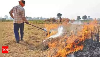 Straw burning key contributor to Punjab’s erratic weather patterns: IMD official | Chandigarh News - Times of India