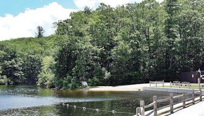 A teenager has died in an apparent drowning at Benedict Pond in Monterey