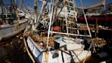 Florida shrimpers race to get battered fleet back to sea