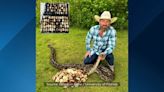 Record-breaking 111-egg invasive Burmese python nest removed from Florida Everglades