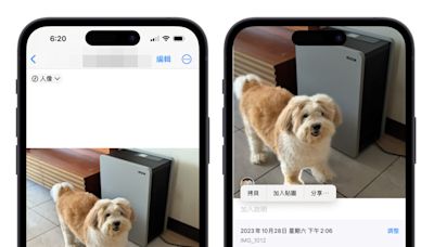 iPhone 照片去背完整教學：免下載 App、內建相簿幫你一鍵照片去背景