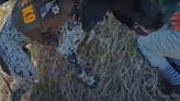 ‘Like watching a Navy SEAL extraction’: Video shows Colo. K-9 locating missing elderly woman