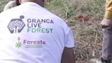 Granca Live Fest, el festival sostenible que se celebra en Canarias