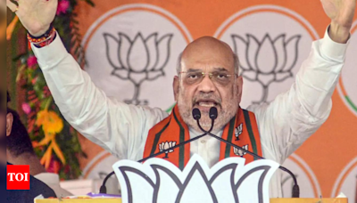 'Hemant Soren behind land jihad': Amit Shah promises 'white paper' to 'protect' Jharkhand tribals | India News - Times of India