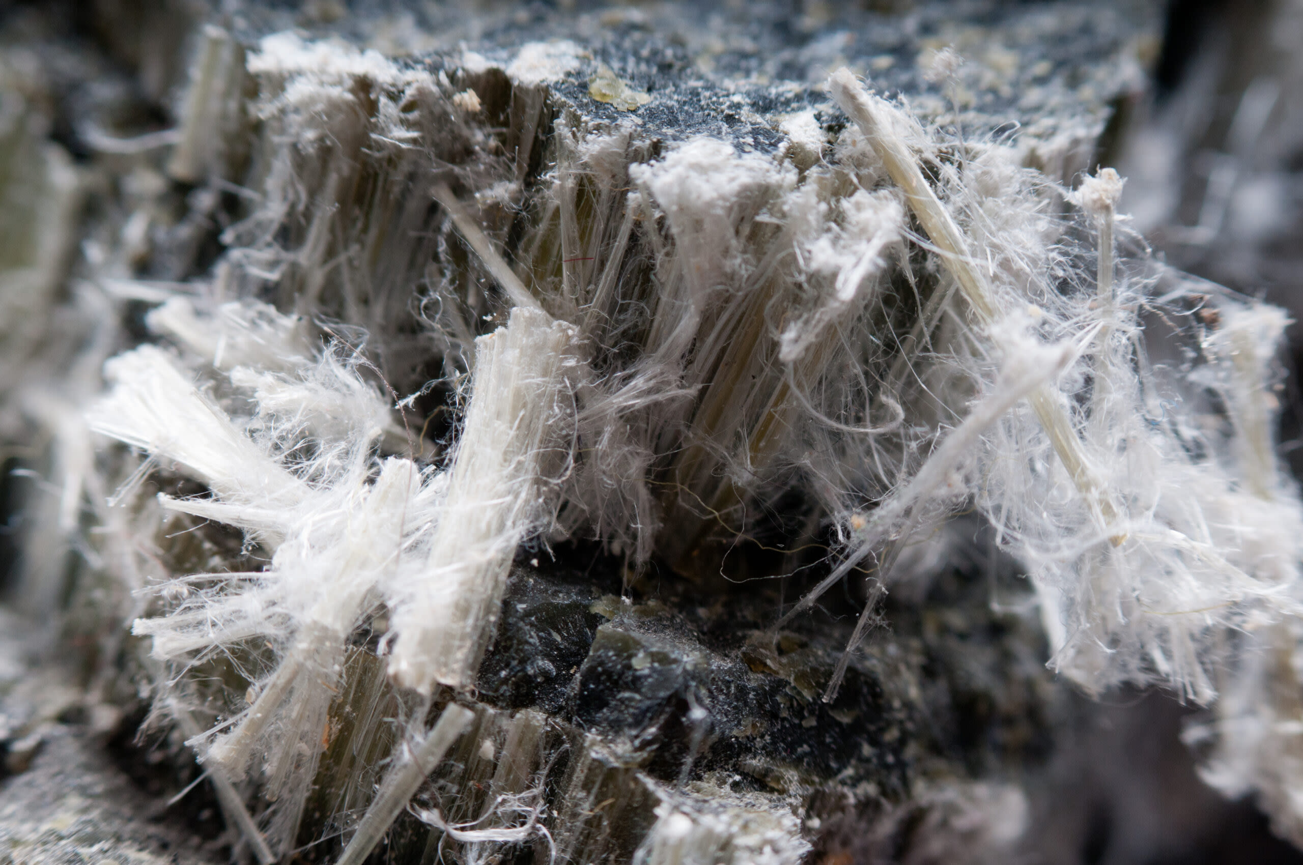 Spouse Married After Injury Can Still Seek Damages in Asbestos Claim – Fla. High Court