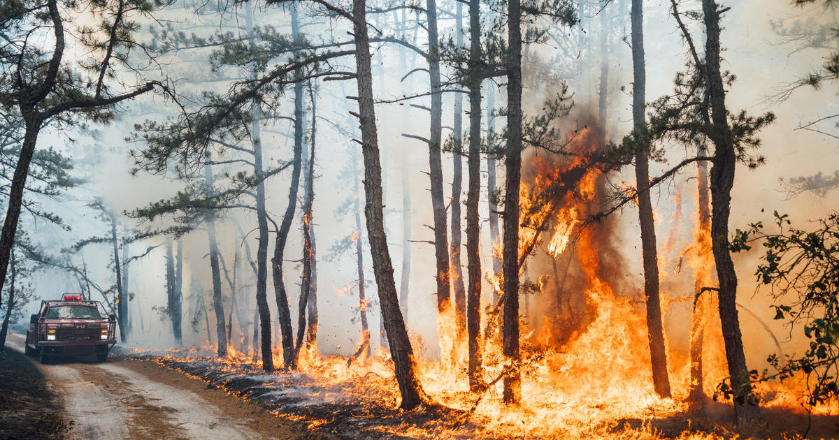 Wharton State Forest wildfire was started by fireworks, New Jersey fire service says