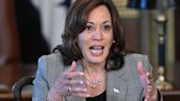 Kamala Harris Slams Ron DeSantis Over Florida's Black History 'Propaganda'