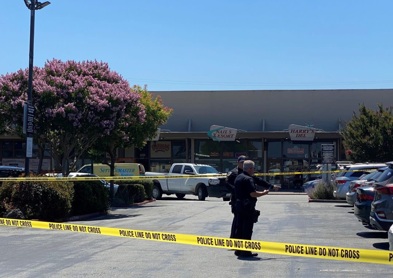 Victim shot in leg at San Mateo shopping center