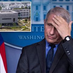 FBI found it ‘alarming’ that Fauci-funded virus research at Wuhan lab would leave no trace of ‘human manipulation’