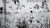 La Nación / Cine paraguayo: archivo “Resistente” se exhibe en el espacio K