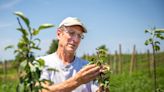 Popular Iowa City business is planting roots in Cumming's agrihood with orchard, restaurant, cider pub