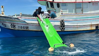 水試所成功培育紅喉魚苗 臺東富山首次放流