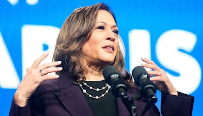 Possible Kamala Harris presidency should concern small business owners, entrepreneur says