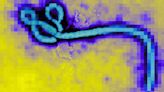 How AI Could Predict the Outbreak of Infectious Diseases like Ebola