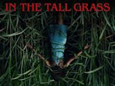 In the Tall Grass (film)