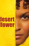 Desert Flower (film)