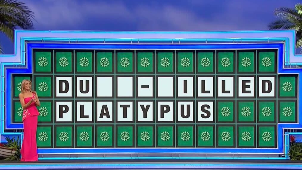 'Wheel of Fortune' Fans Shocked By Contestant's 'Painful' Letter Pick on Easy Puzzle