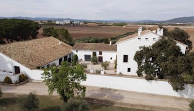 Arte, gastronomía y grandes vinos en la Finca Hoya de Cadenas