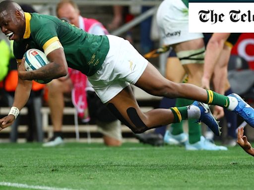 Springboks have regenerated again – the world has been put on notice