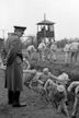 Ein Tag – Bericht aus einem deutschen Konzentrationslager 1939