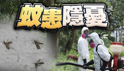 全港蚊患最新指數14% 八地區達警戒水平 上水錄54.4%最多蚊