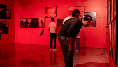 La apuesta decolonial del Museo de Arte Moderno de Medellín