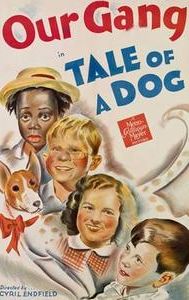 Tale of a Dog