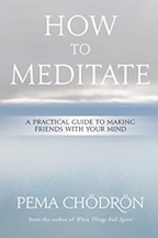 How to Meditate: A Practical Guide to Making Friends with Your Mind