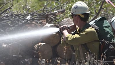 Wildfires: Nevada Division of Forestry trains future firefighters