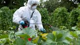 US agency claims there are ‘too many’ pesticide formulas to check them all for toxins: ‘Disappointing but not surprising’