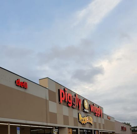 who owns piggly wiggly tallahassee