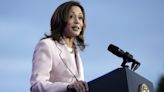 Only a third confident Harris would win as Democratic nominee: Survey